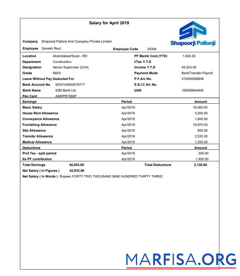 Realistic Shapoorji Pallonji employee pay stubs real example